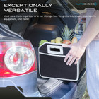 AutoBasics Collapsible & Expandable Trunk Organizer product image