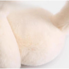 Foldable Suede Winter Earmuffs product image