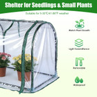 Mini Tabletop Greenhouse product image