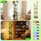 6-tier Plant Stand with RGB Light product image