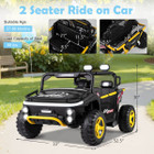 24V 2-Seater Ride-On UTV Truck Car with Remote product image