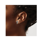 Stainless Steel Polished and Black Plated Cross Earrings product image