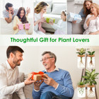 Hydroponic Glass Plant Propagation Station (4-Pack) product image