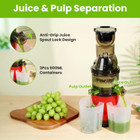 Electric Cold Press Juicer Machine product image