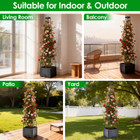 Planter Box with Trellis (2-Pack) product image