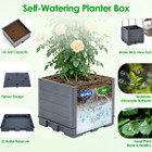 Planter Box with Trellis (2-Pack) product image