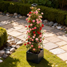 Planter Box with Trellis (2-Pack) product image