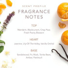 Dolly Parton Scent From Above Eau De Toilette Spray (2-Pack) product image