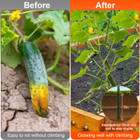 Garden Arch Trellis for Raised Garden Beds product image