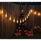 5.5’ String LED Light Bulbs (10-Bulbs) product image