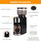 Electric Conical Burr Coffee Grinder product image