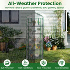 Portable Mini Greenhouse with Roll-up Door product image