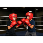 Armogear Boxing Headgear (2-Pack) product image