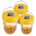Solar Wasp Trap (3-Pack) product image