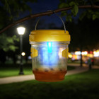 Solar Wasp Trap (3-Pack) product image