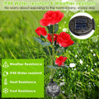Solar Garden Rose Light (2-Pack) product image