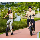 GoPowerBike GoVolt Folding Electric Bike product image