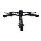 GoPowerBike GoVolt Folding Electric Bike product image