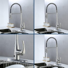 Bemis Single-Handle Pull-Down Spring Sprayer Faucet product image