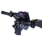 GoPowerBike GoDelta Foldable Electric Scooter  product image