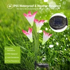 Solar Garden Flower Lights (2-Pack) product image
