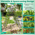 Metal Garden Trellis for Climbing Plants product image
