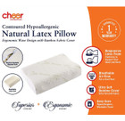 Cheer Collection Foam Pillow With Bamboo Cover product image