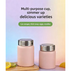 Stainless Steel Thermal Food Jar product image