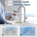 WaterSong Kitchen Sink Pull-Down Faucet product image