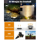 Solar Ground Pathway Light (2- to 12-Pack) product image