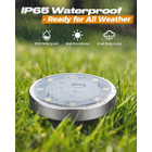 Solar Ground Pathway Light (2- to 12-Pack) product image