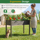 Wooden Raised Garden Bed (2-Pack) product image