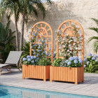Wooden Raised Garden Bed with Trellis (1 or 2-Pack) product image
