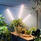 Grow Lights for Indoor Plants product image