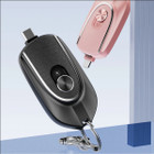 2-in-1 Portable Power Station Charger  product image