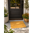 Non Slip Door Mat  product image