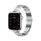 Two-Tone Metal Bands for Apple Watch product image