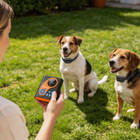 2-in-1 Wireless Dog Fence and Training System (1 or 2 Collars) product image