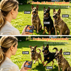 2-in-1 Wireless Dog Fence and Training System (1 or 2 Collars) product image