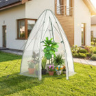 Portable Mini Walk-in Greenhouse  product image