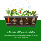 5-Tier Vertical Raised Garden Bed Planter Box (1- or 2-Pack) product image
