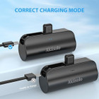 Portable Charger for iPhone with Dual Infterface product image