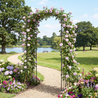Curved Top Garden Arbor   product image