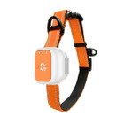 4G Pet Gps Tracker With Real-time Positioning,long Standby Geofence Alerts Multi-band Waterproof Locator For Dogs Outdoor Pets Size L product image
