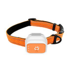 4G Pet Gps Tracker With Real-time Positioning,long Standby Geofence Alerts Multi-band Waterproof Locator For Dogs Outdoor Pets Size L product image
