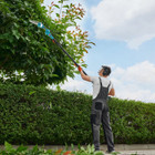 2-in-1 Cordless Pole Saw & Chainsaw product image