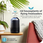 Original Katchy Indoor Insect Trap product image