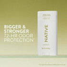 Native Aluminum Free Deodorant (2-Pack) product image