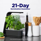 AeroGarden Sprout Indoor with Gourmet Herbs Seed Pod Kit  product image