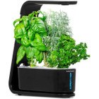 AeroGarden Sprout Indoor with Gourmet Herbs Seed Pod Kit  product image